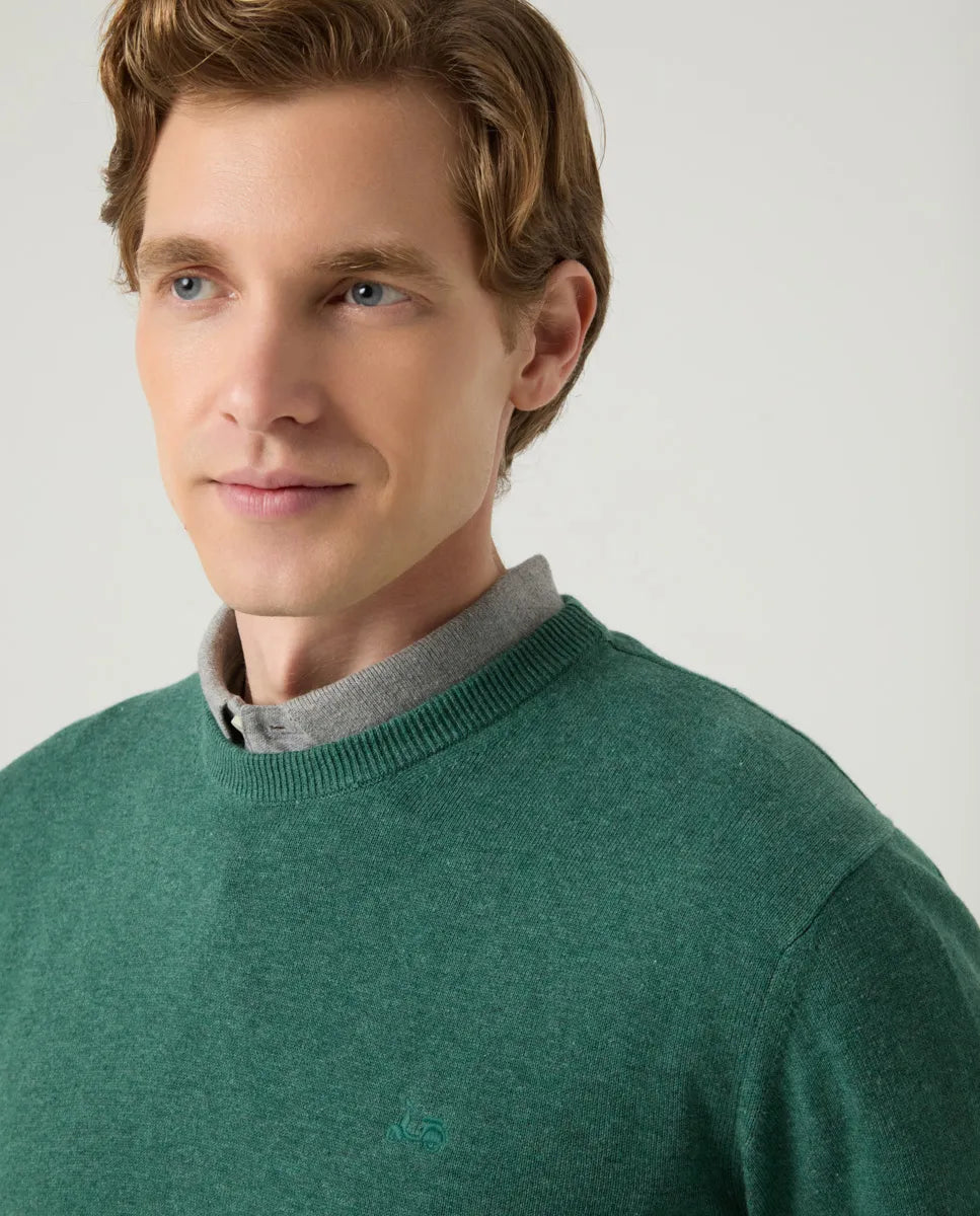 Jersey classic crew neck cotton verde botella | SCOTTA