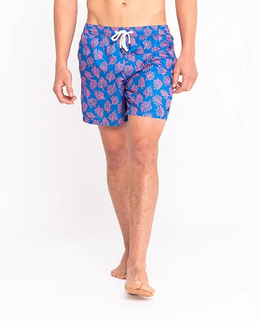 Traje de baño algas azulon | SCOTTA